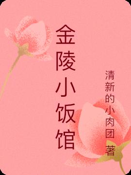 金陵小说睡芒