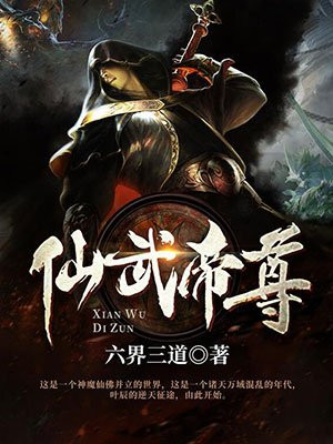 武道神帝叶辰正版